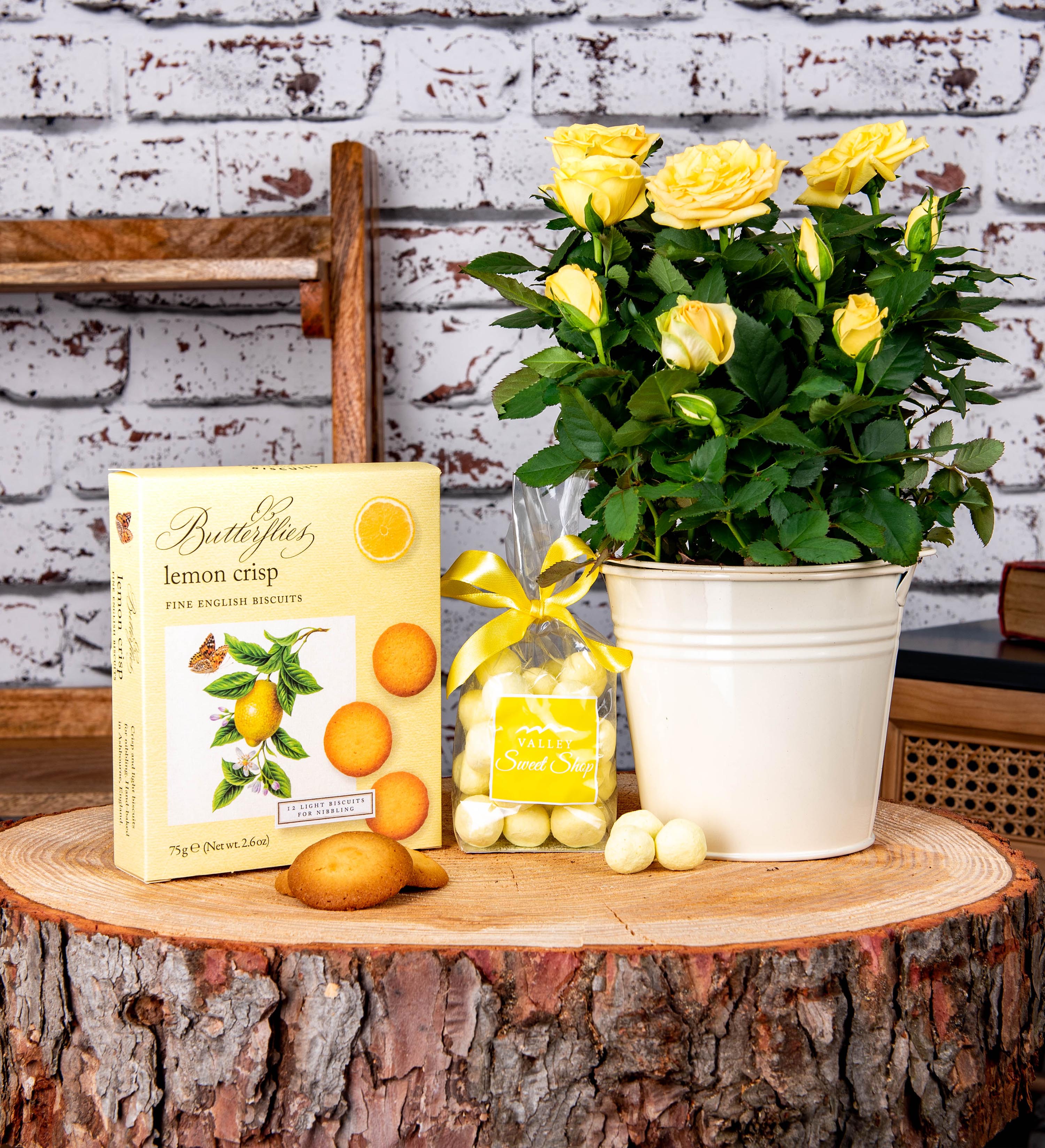 Lemon Rose Plant Gift 123 Flowers