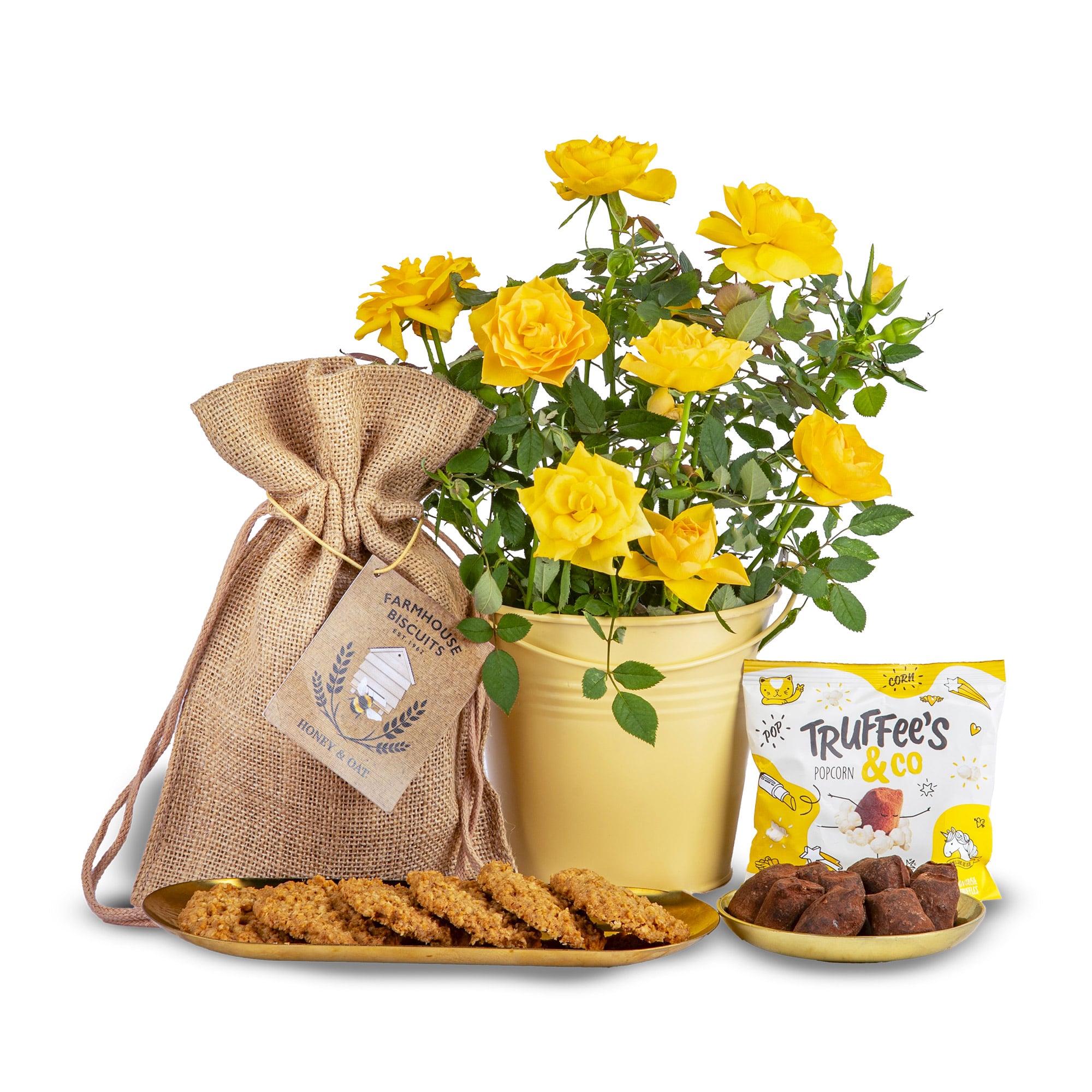 Lemon Rose Plant Gift