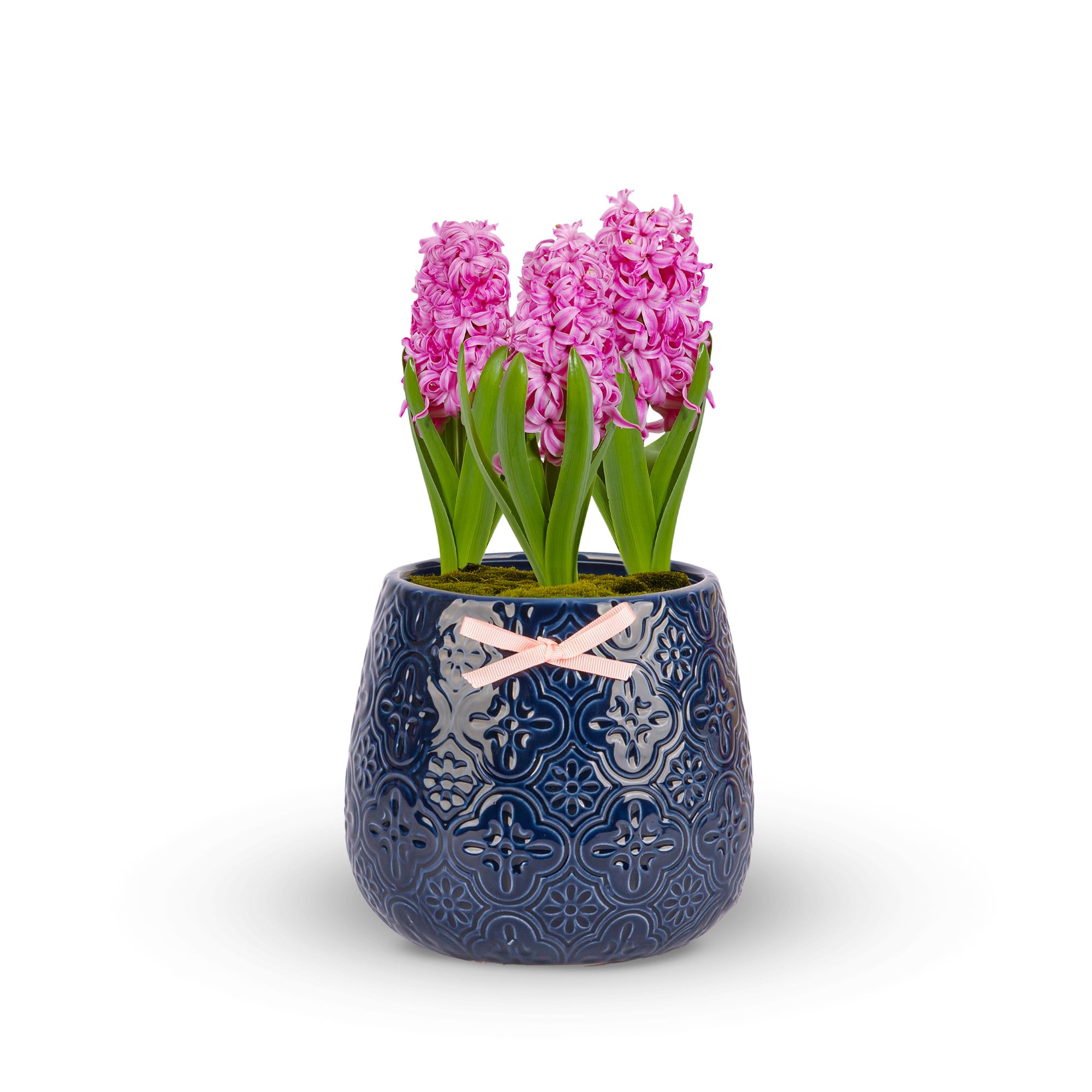 Hyacinth Bowl