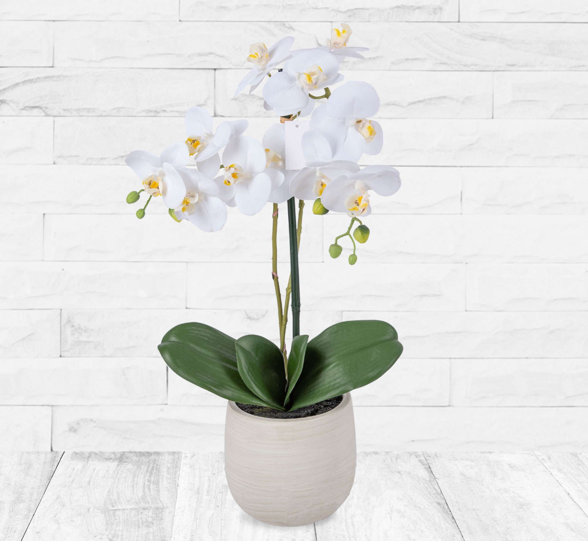 Silk Orchid plant 123 Flowers