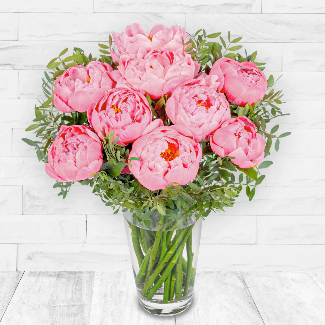 Pretty Peonies