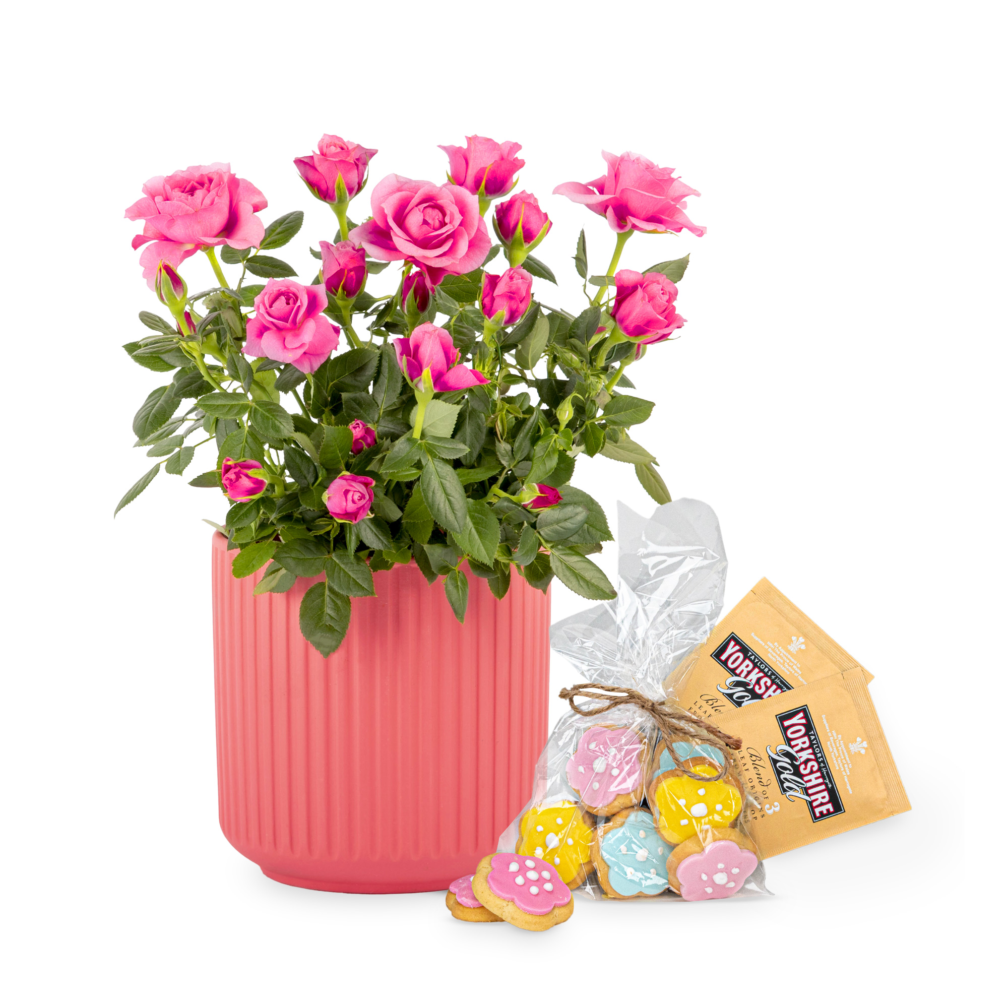 Rose Garden Gift