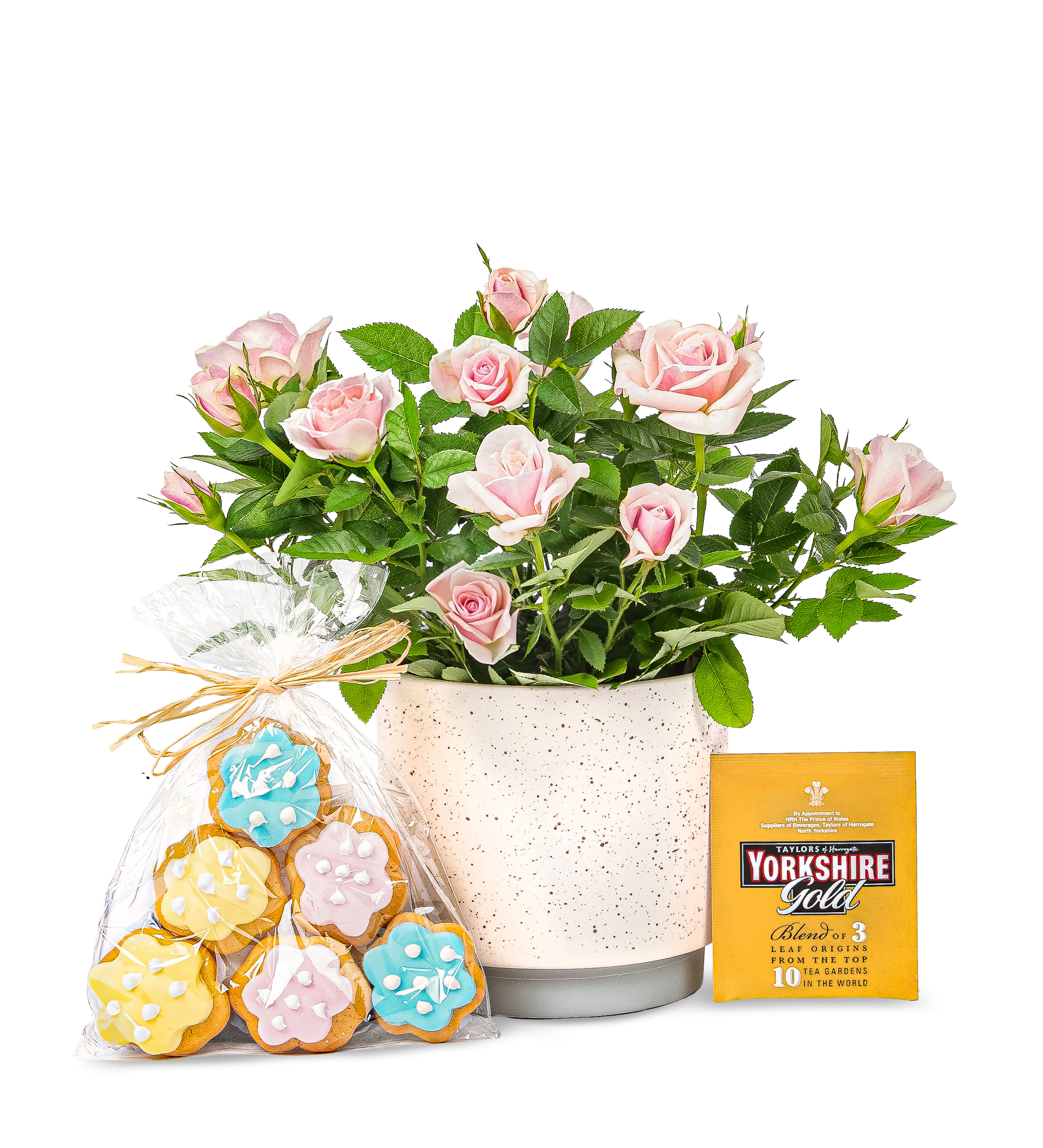 Rose Garden Gift