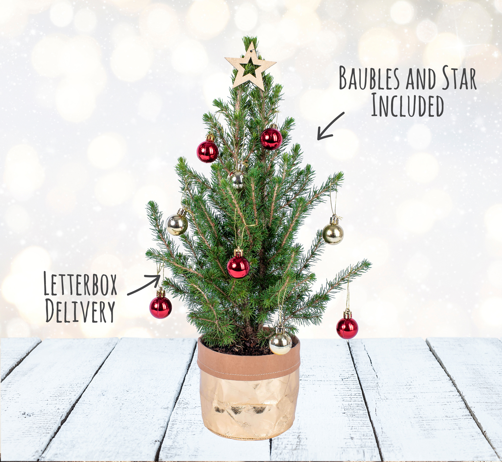 Have a Ball This Christmas 123 Flowers