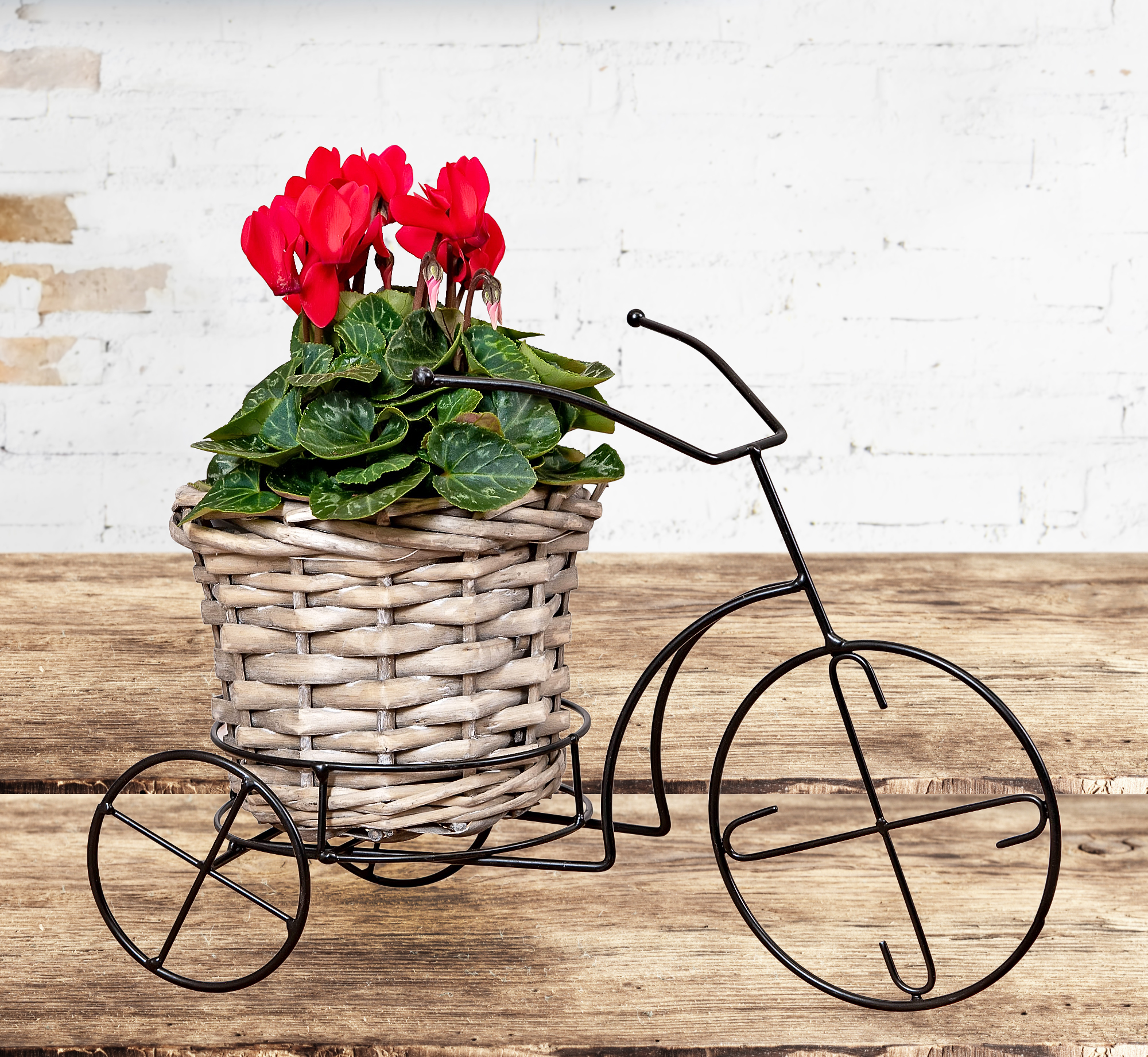 Tricycle Basket 123 Flowers