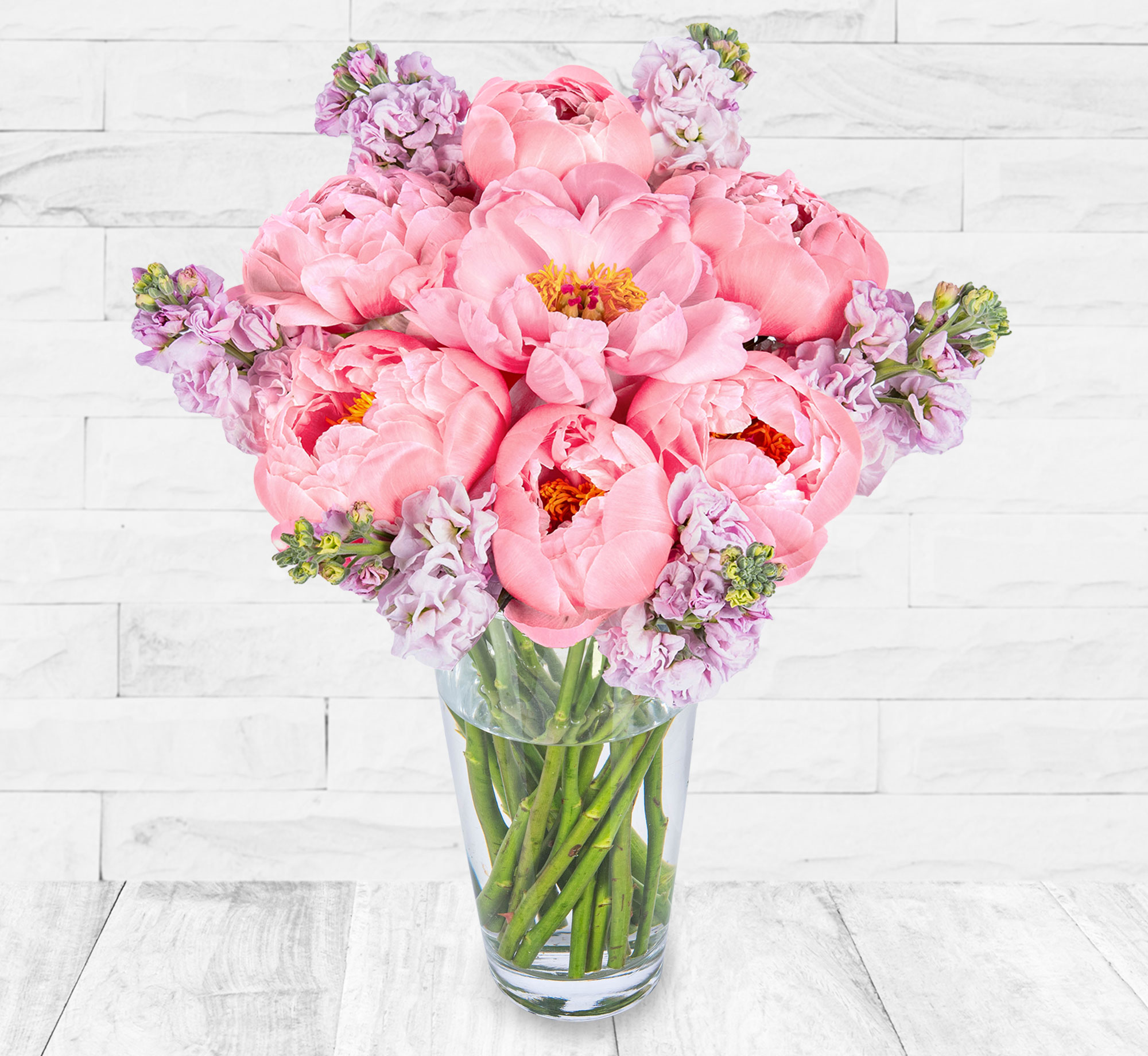 Peonies and Stocks