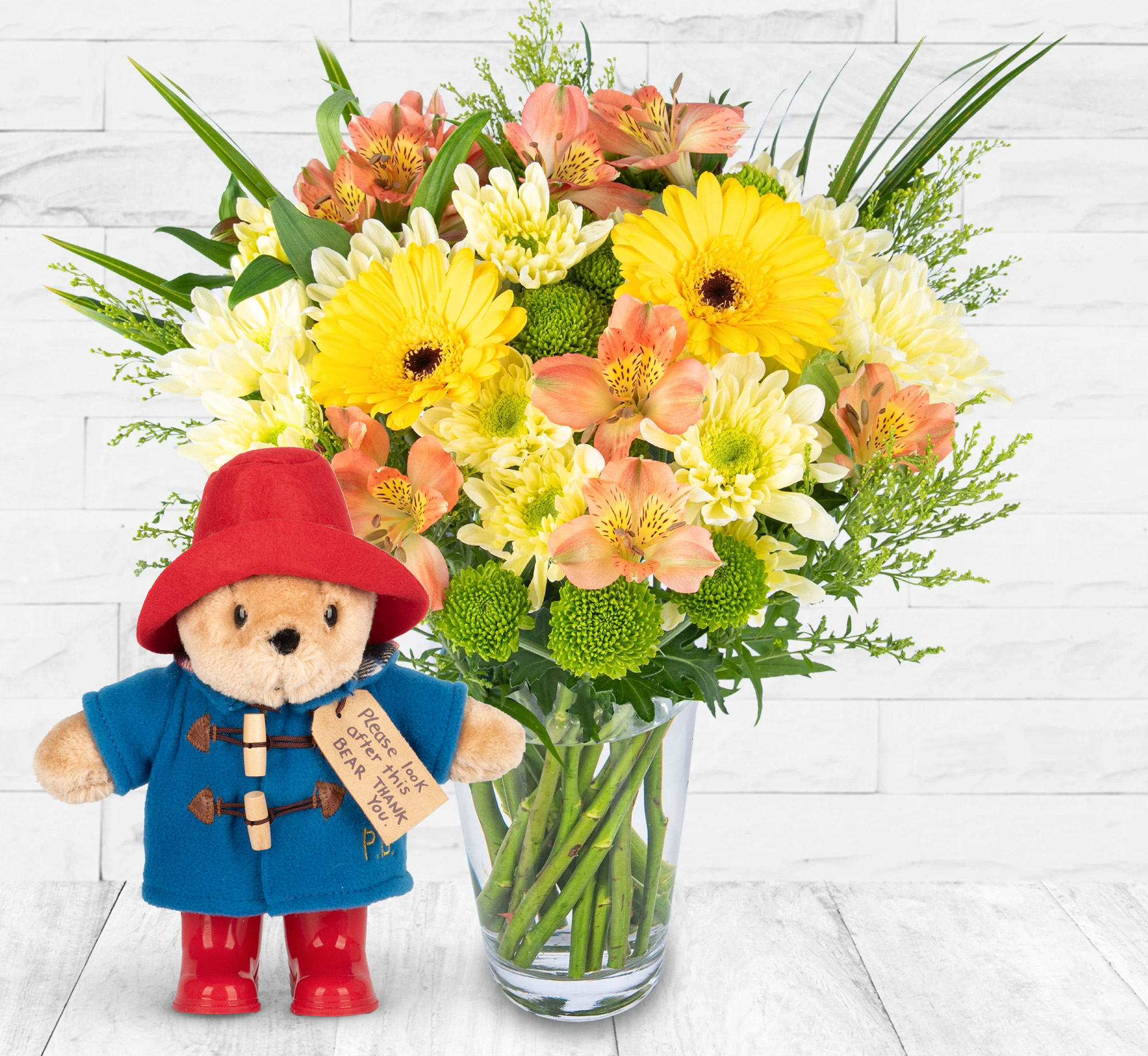 Seasons Joy With Paddington Bear