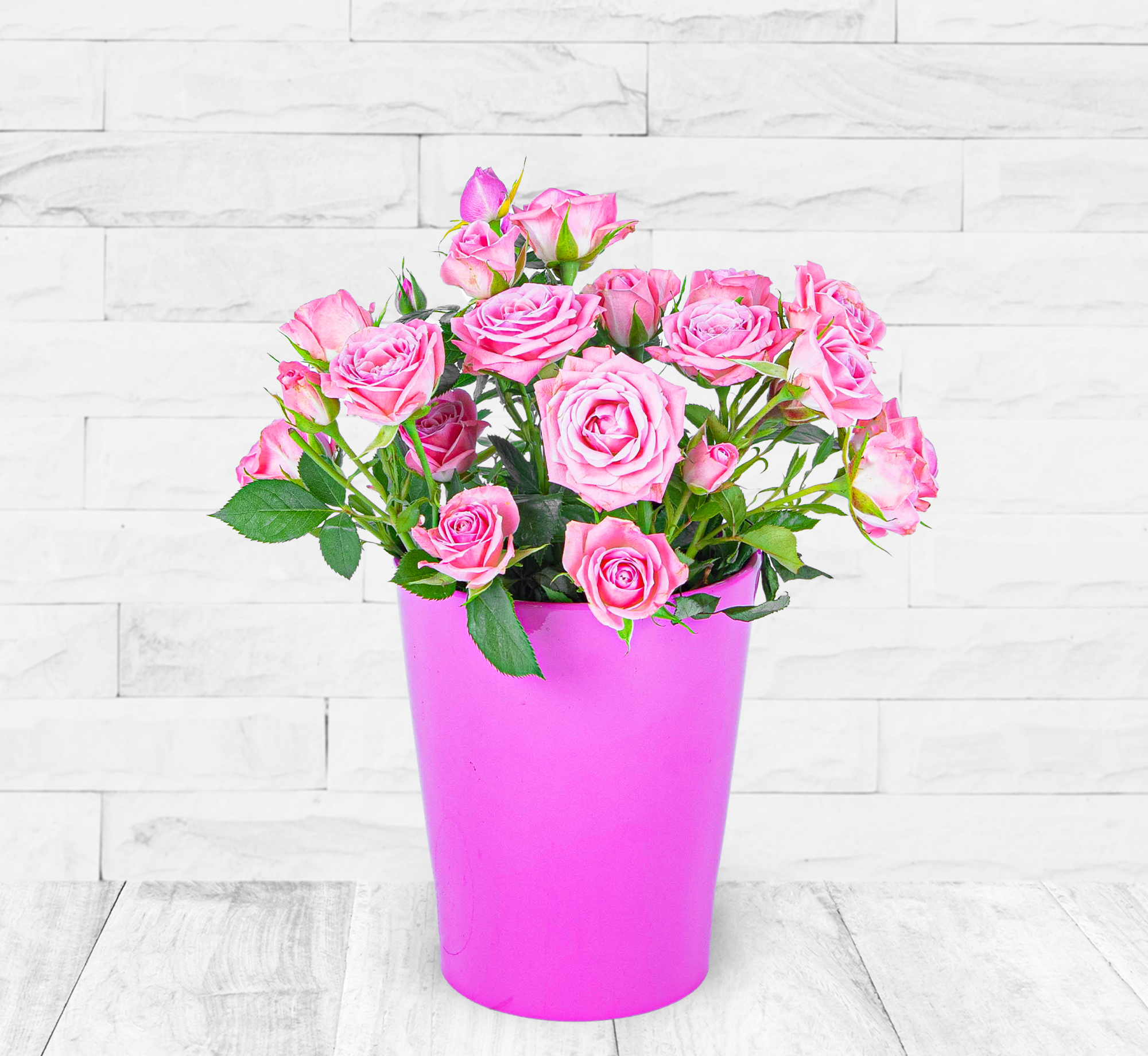 Rosebud