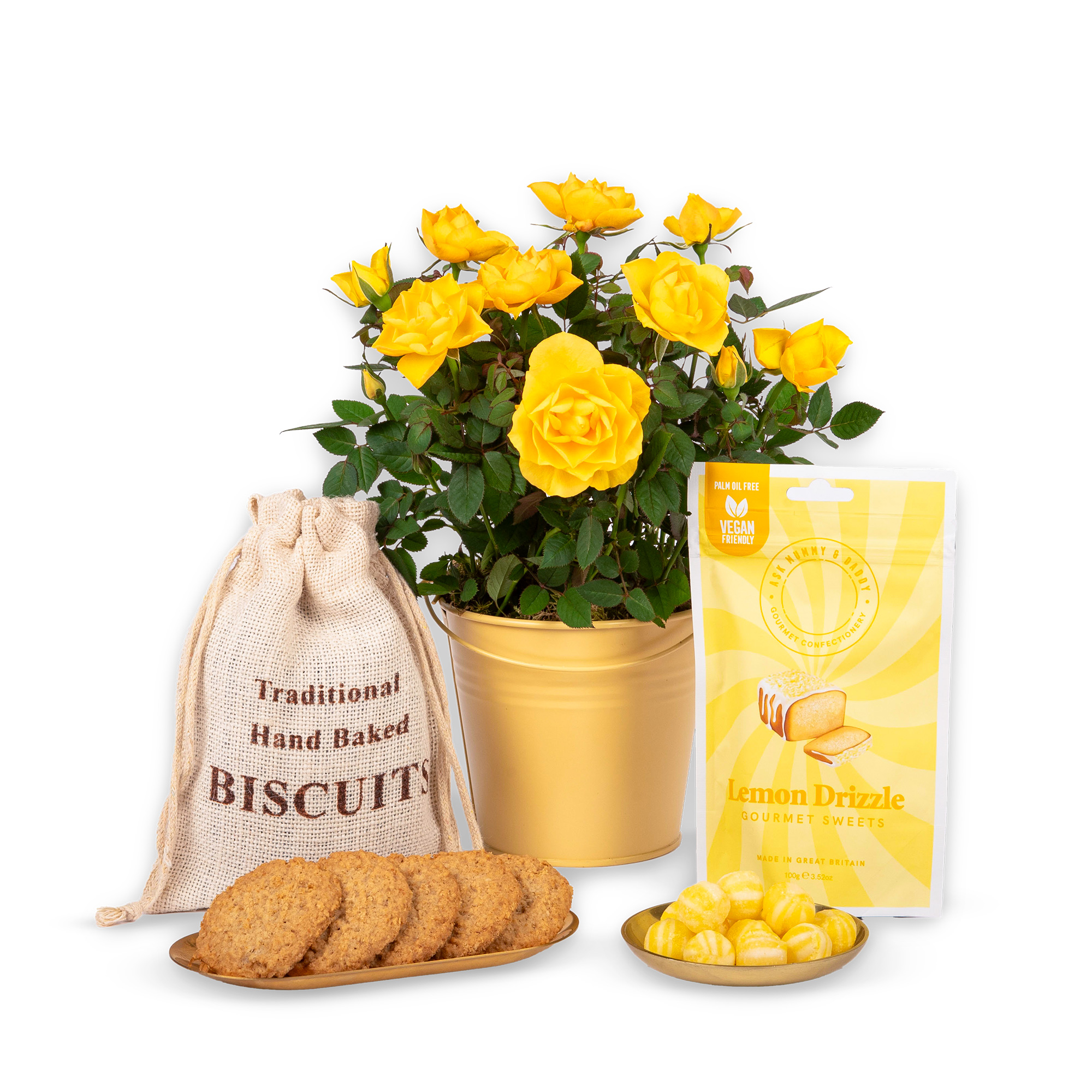 Lemon Rose Plant Gift
